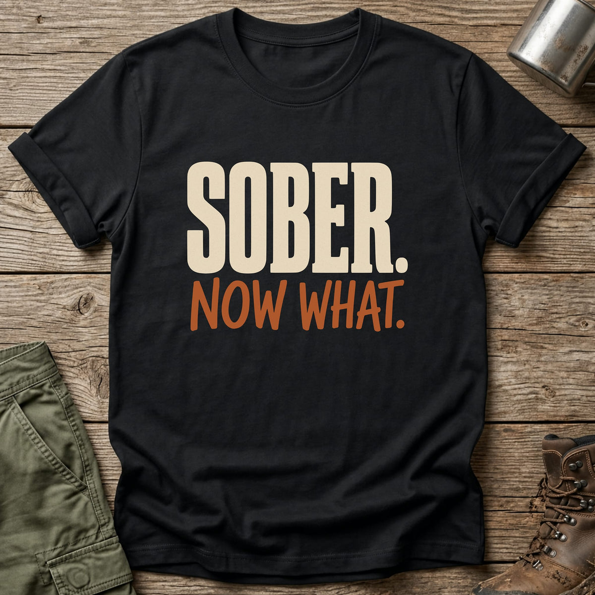 Sober Now What T-Shirt - One Day Wry