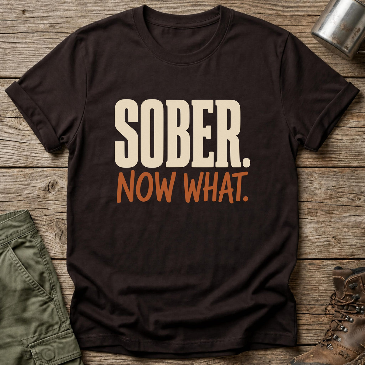 Sober Now What T-Shirt - One Day Wry