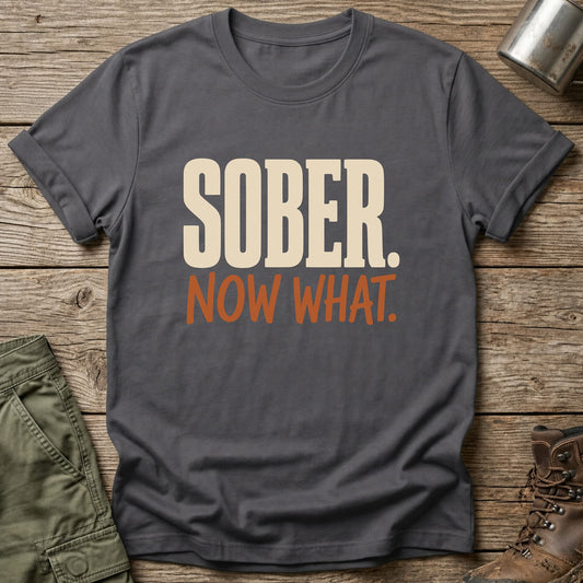 Sober Now What T-Shirt - One Day Wry