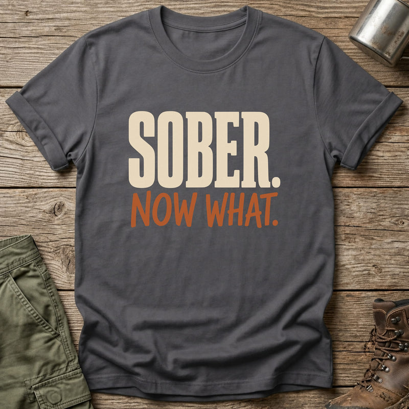 Sober Now What T-Shirt - One Day Wry
