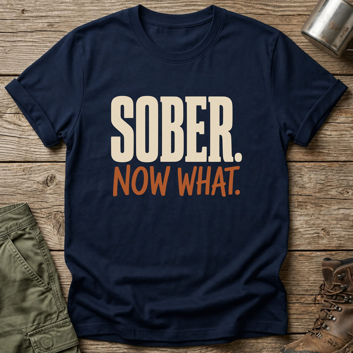 Sober Now What T-Shirt - One Day Wry