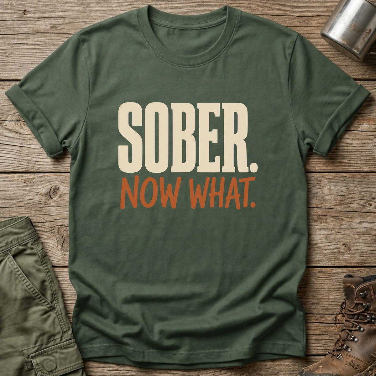 Sober Now What T-Shirt - One Day Wry